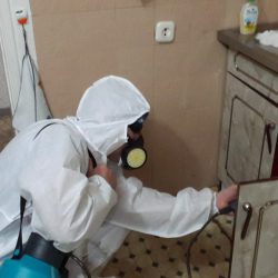 Дезинфекция от муравьев в квартире Александровский сад метро Москвы
